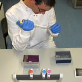 Setting up a wildlife DNA forensics laboratory